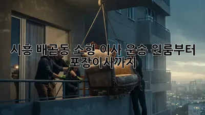 시흥 배곧동 소형 이사 운송: 원룸부터 포장이사까지!
